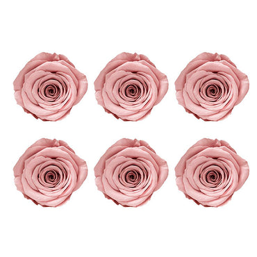 Amore Forever Rose Heads Pack 6 Dusty Pink (5-6cmD)