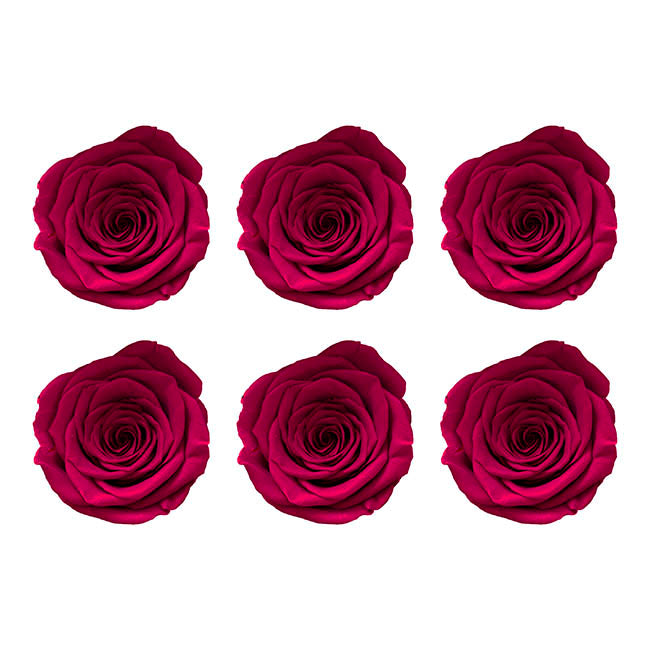 Amore Forever Rose Heads Pack 6 Hot Pink (5-6cmD)