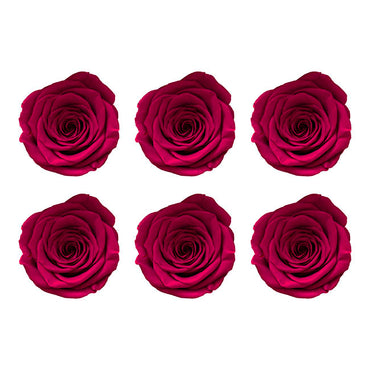 Amore Forever Rose Heads Pack 6 Hot Pink (5-6cmD)