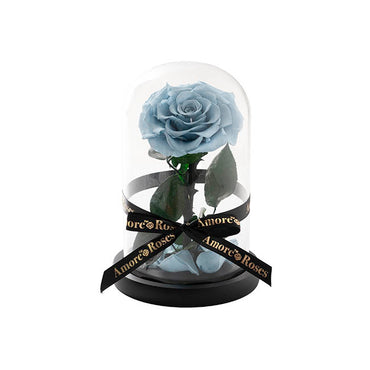 Amore Forever Rose Single Stem Cloche Blue (12cmDx20cmH)