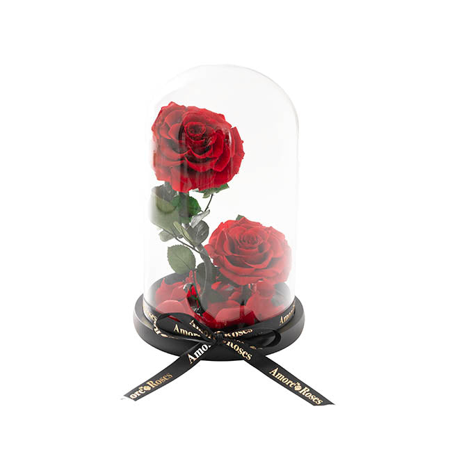 Amore Forever Rose x2 Stem Cloche Red (17Dx26cmH)