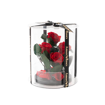 Amore Forever Rose x4 Stem Acrylic Box Red (20Dx17cmH)