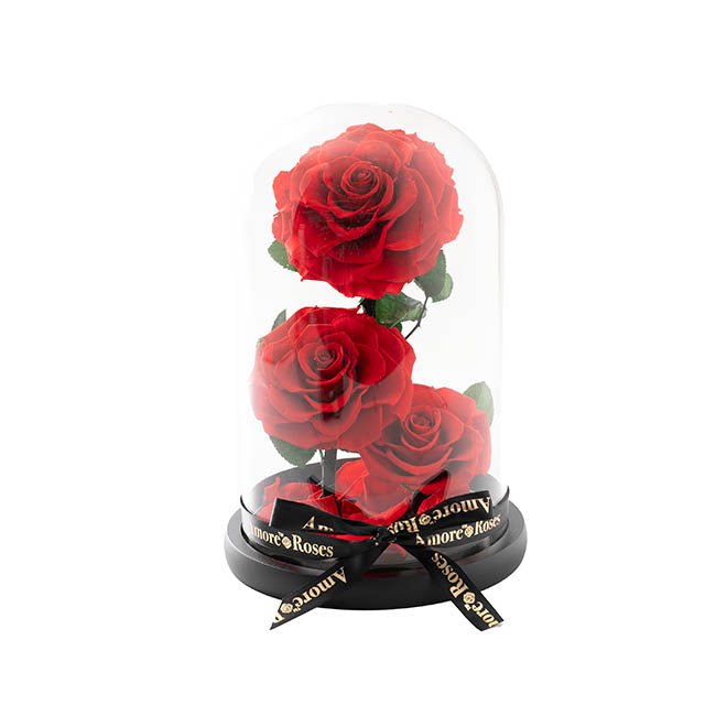 Amore Forever Rose 3 Stem Cloche Red (17x26cmH)