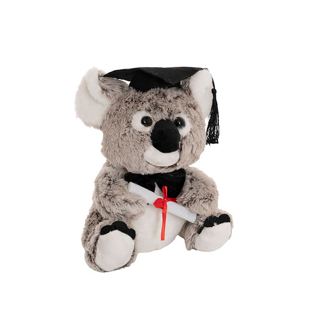 Graduation Koala Kev Plush Soft Toy Melange Grey (30cmST)