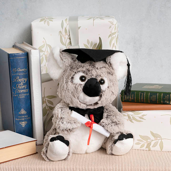 Graduation Koala Kev Plush Soft Toy Melange Grey (30cmST)