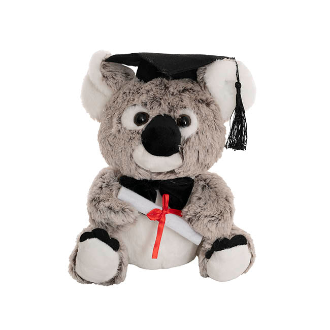 Graduation Koala Kev Plush Soft Toy Melange Grey (30cmST)