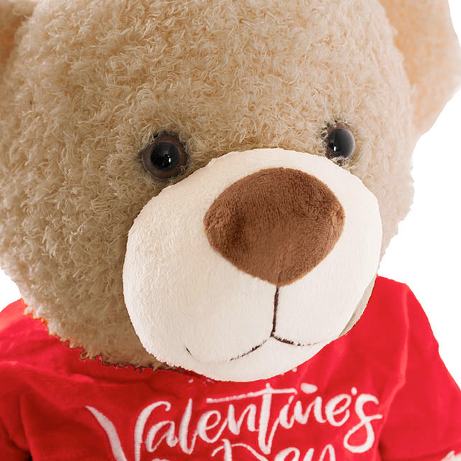 Teddy Bear Corby w Happy Valentine's Day Top Brown (36cmST)