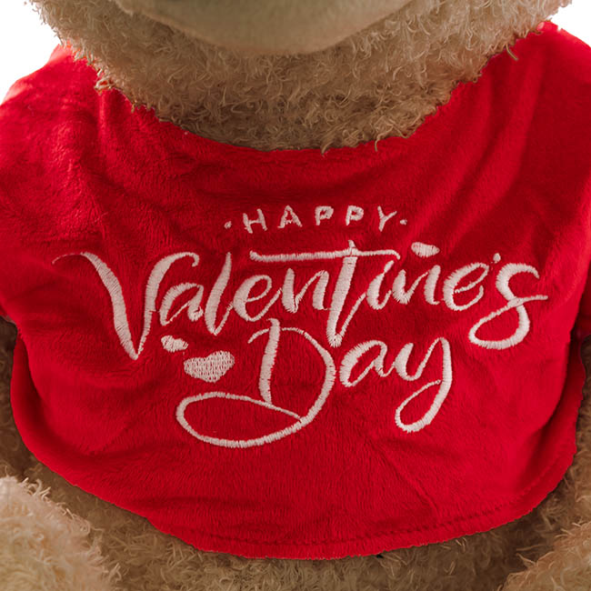 Teddy Bear Corby w Happy Valentine's Day Top Brown (36cmST)