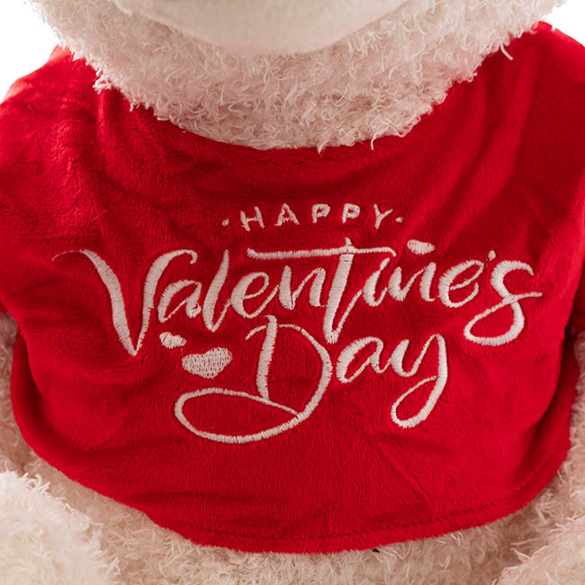 Teddy Bear Corby w Happy Valentine's Day Top White (36cmST)