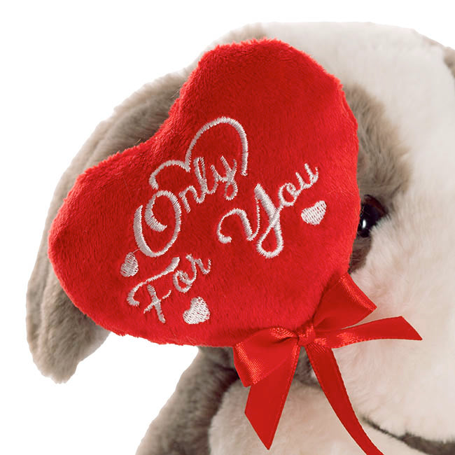 Puppy Harrold w Only For You Heart Plush Toy Cream (21cmST)