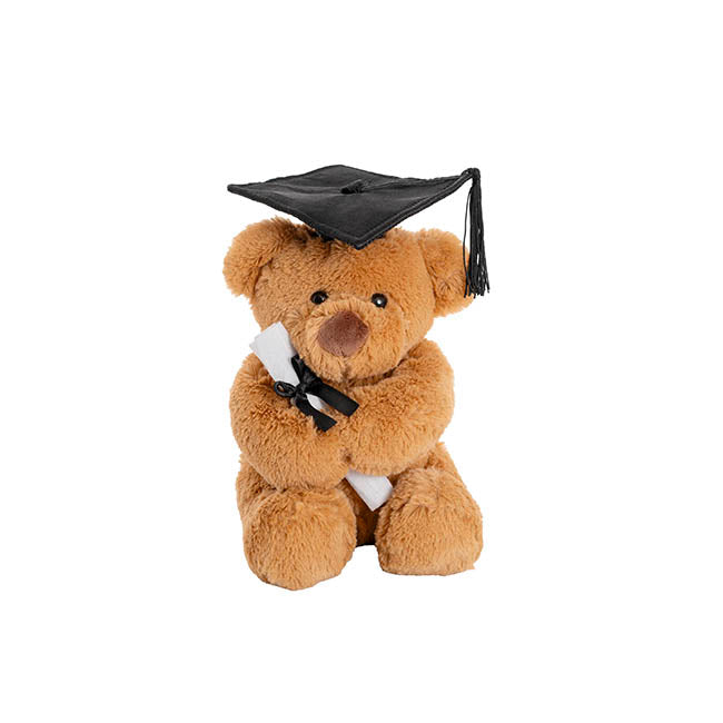 Graduation Teddy Bear Harvey Plush Soft Toy Brown (20cmST)