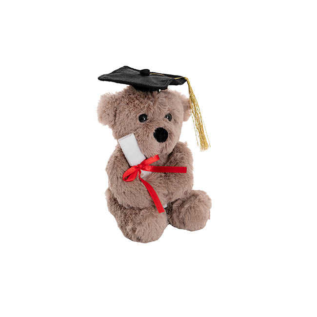 Graduation Teddy Bear Harvey Plush Toy Warm Grey (15cmST)